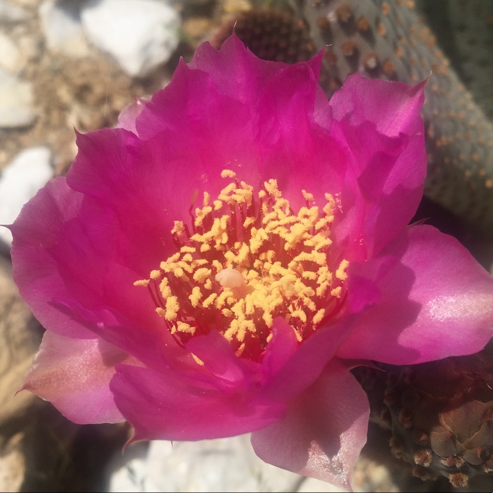 Meet your Posher, Aurora